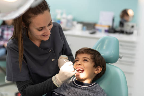 Best Emergency Dentist for Knocked-Out Tooth in Shelburne Falls, MA